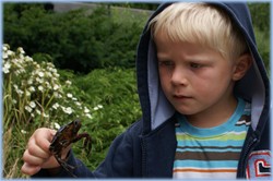 Håkon er blitt stor gutt. Sommeren 2008 ble han en mester i å fange krabber.